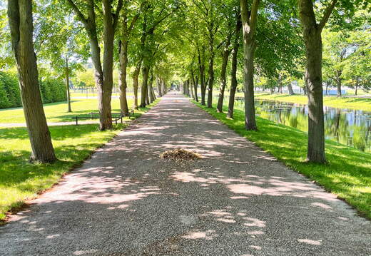 24-06-26 10-43-07 9918